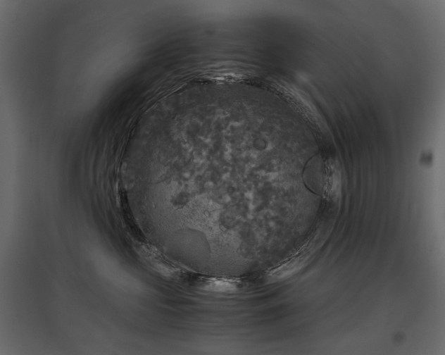 X0000097760573200803071257