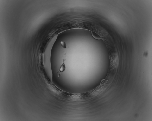 X0000097760574200803071257