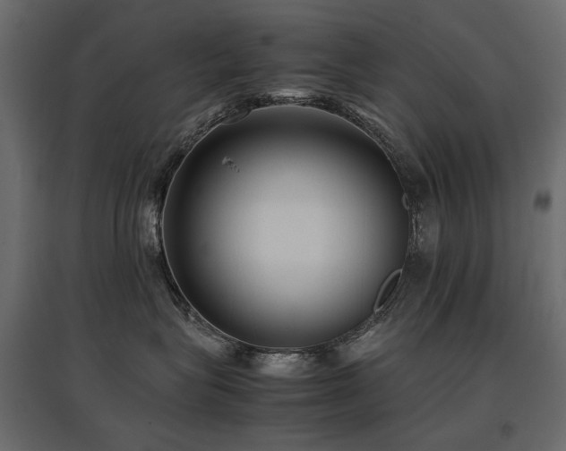 X0000097760575200803071257