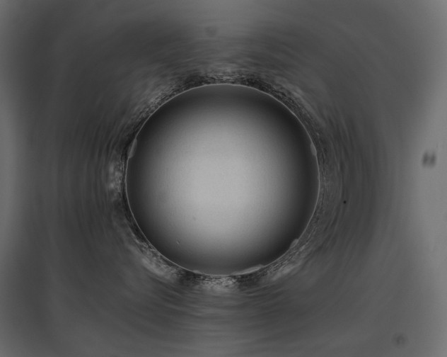 X0000097760576200803071257