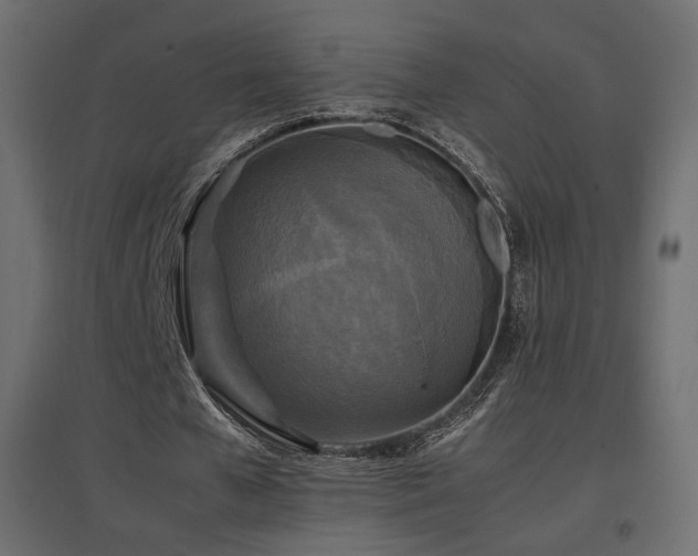 X0000097760577200803071257