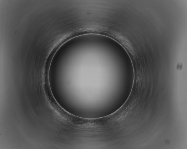 X0000097760578200803071257