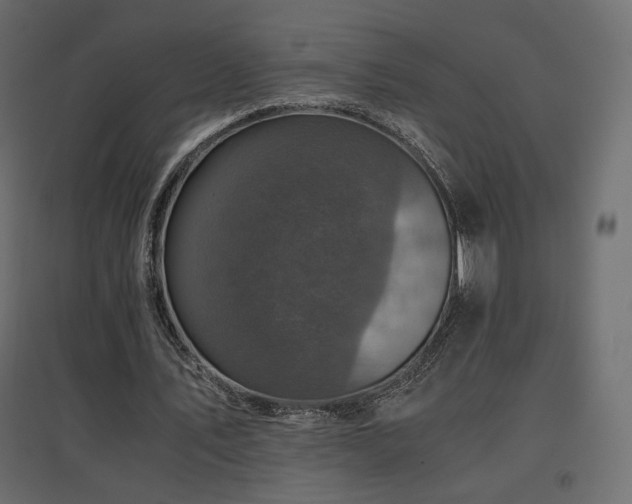 X0000097760579200803071257