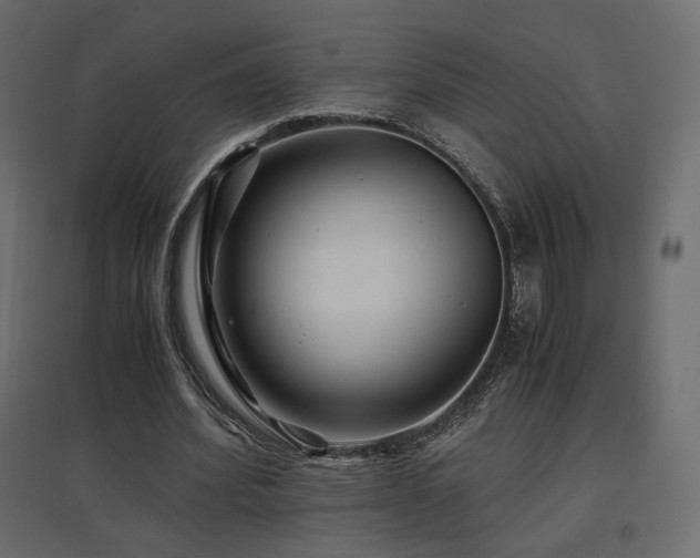 X0000097760580200803071257