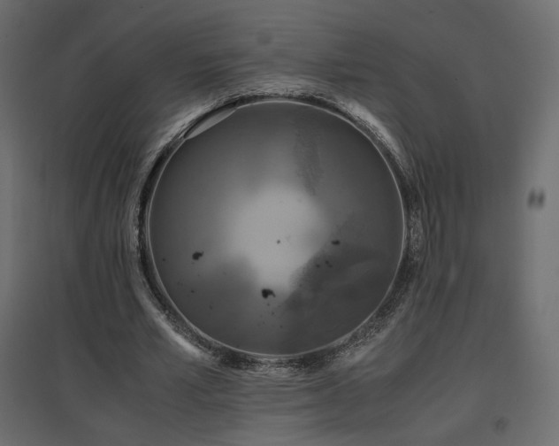 X0000097760581200803071257