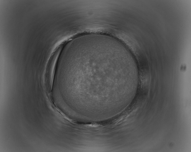 X0000097760583200803071257