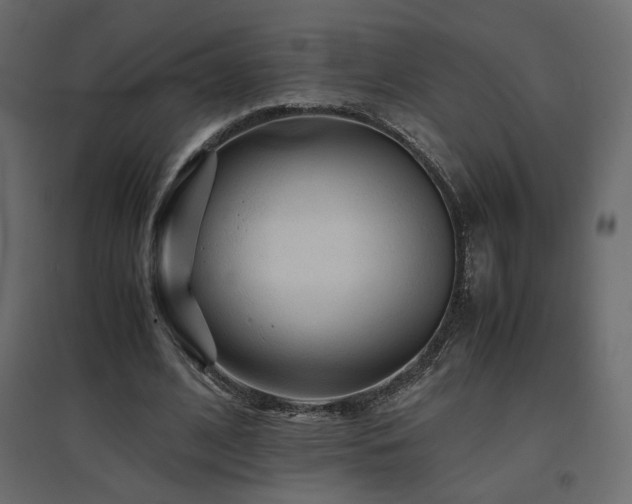 X0000097760584200803071256