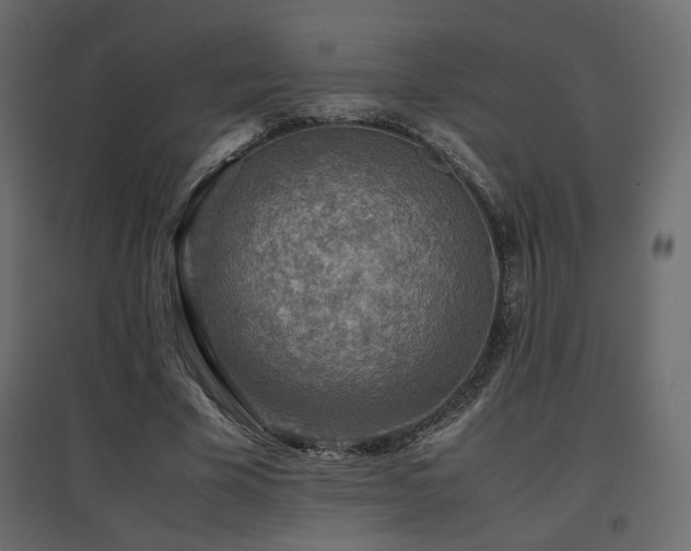 X0000097760585200803071256