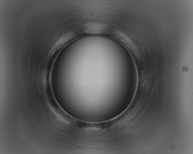 X0000097760586200803071256