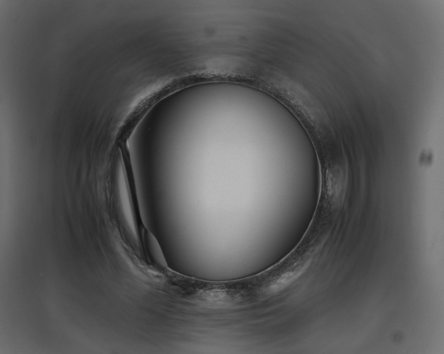 X0000097760588200803071256