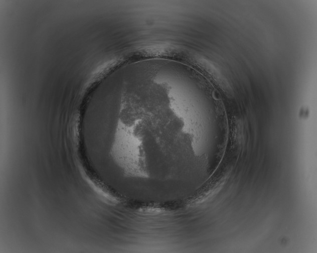 X0000097760590200803071256