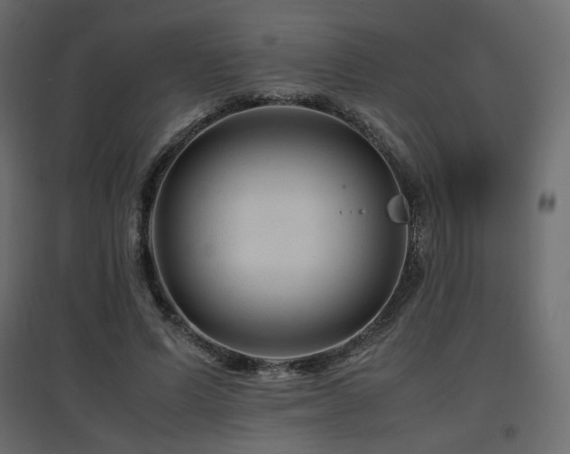 X0000097760591200803071256