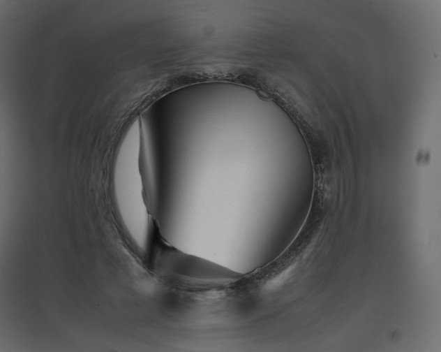 X0000097760593200803071256