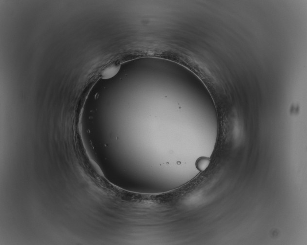 X0000097760594200803071256