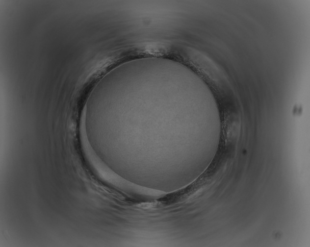 X0000097760595200803071256