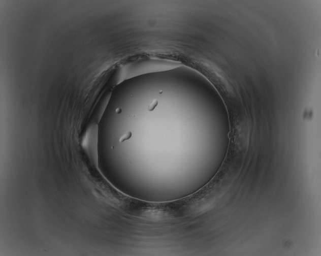 X0000097760596200803071256