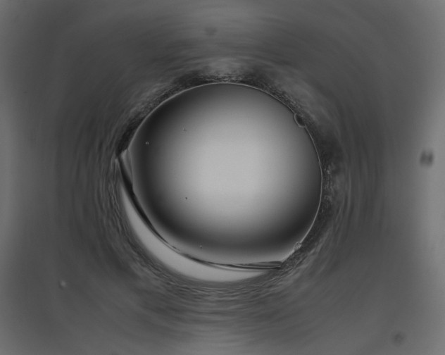 X0000097760597200803071256