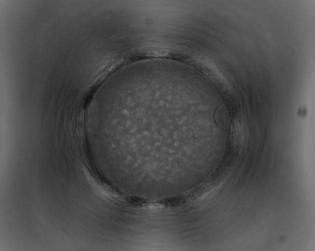 X0000097760598200803071256