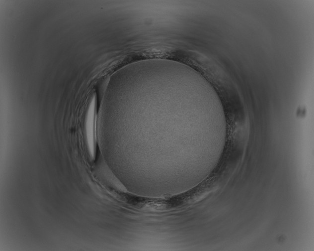 X0000097760599200803071256