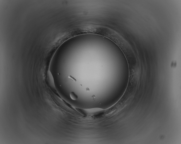 X0000097760600200803071256