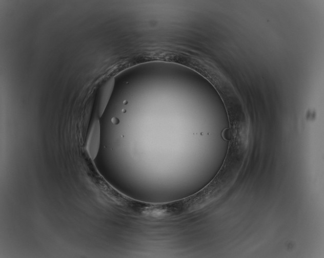 X0000097760602200803071256