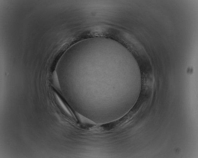 X0000097760603200803071256