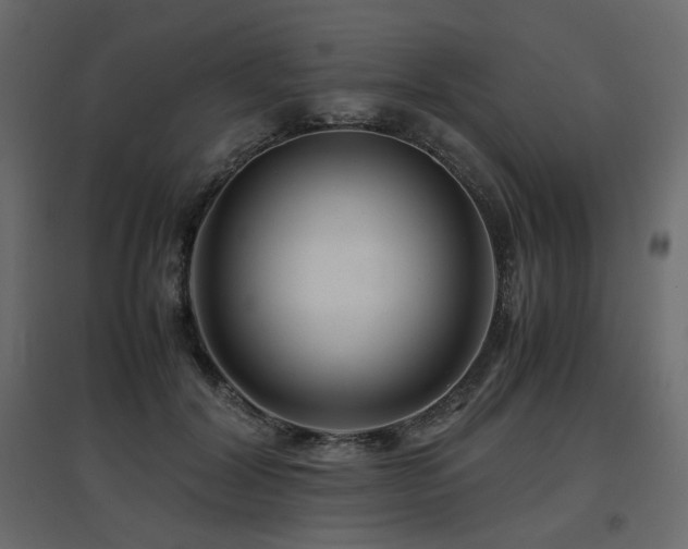 X0000097760604200803071256