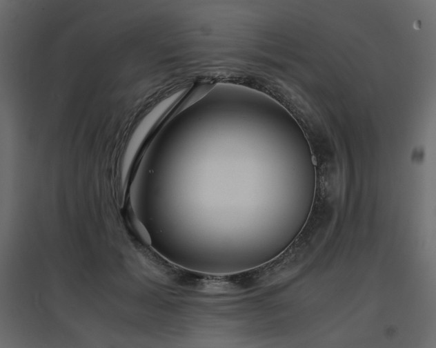 X0000097760605200803071256