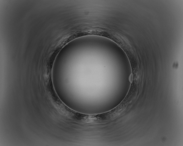 X0000097760607200803071256