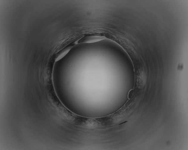 X0000097760608200803071256