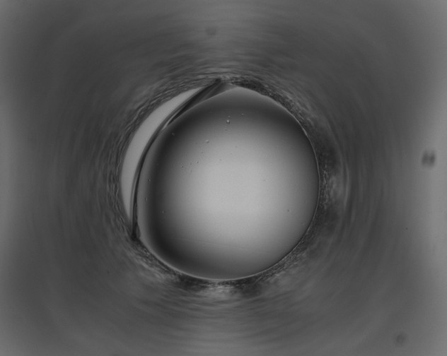 X0000097760609200803071256