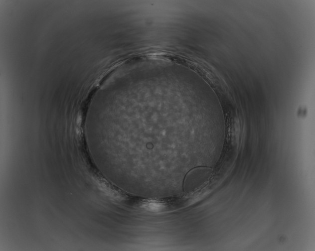 X0000097760610200803071256