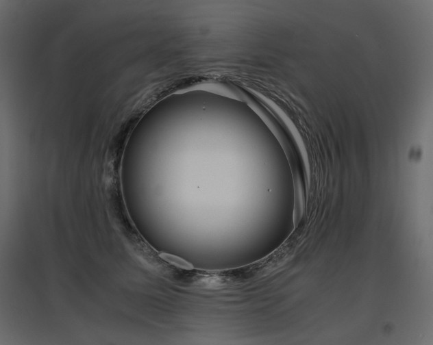 X0000097760611200803071256