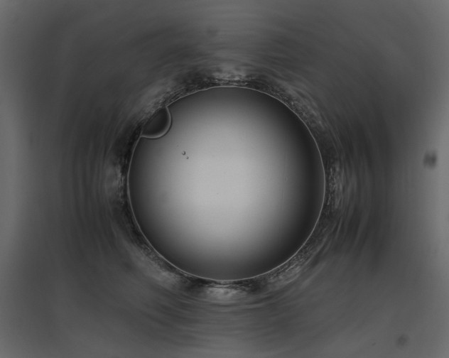 X0000097760614200803071256