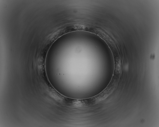 X0000097760616200803071256