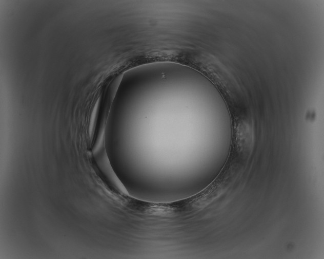 X0000097760617200803071256