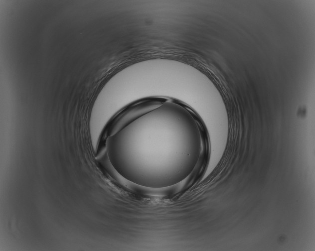 X0000097760621200803071256