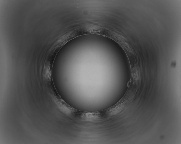 X0000097760622200803071256