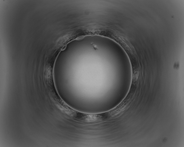 X0000097760623200803071256