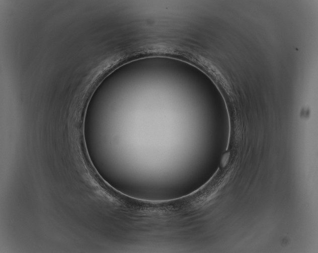 X0000097760625200803071255