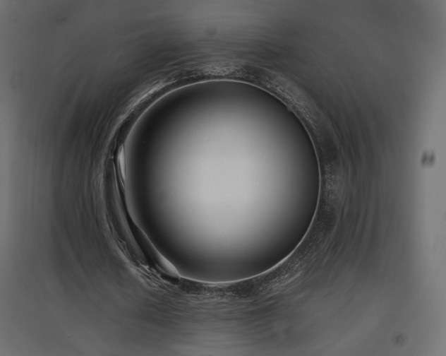 X0000097760626200803071255