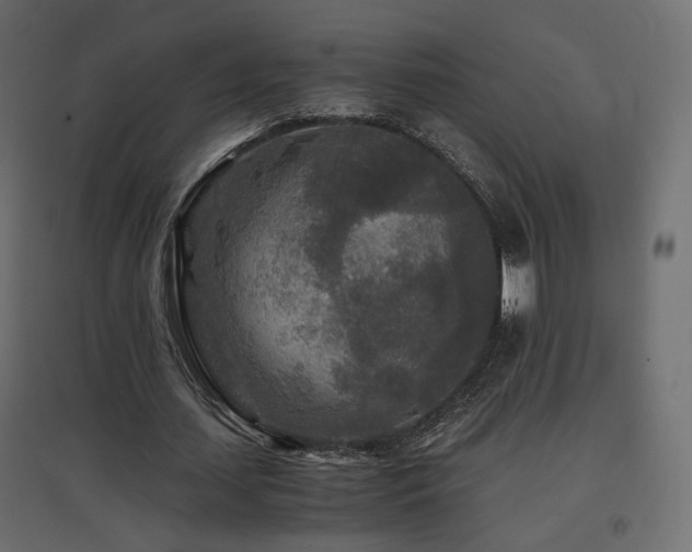 X0000097760627200803071255