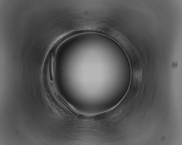 X0000097760628200803071255