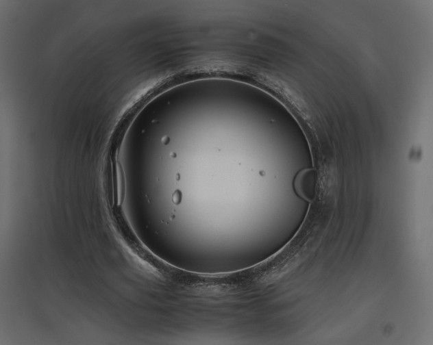 X0000097760629200803071255