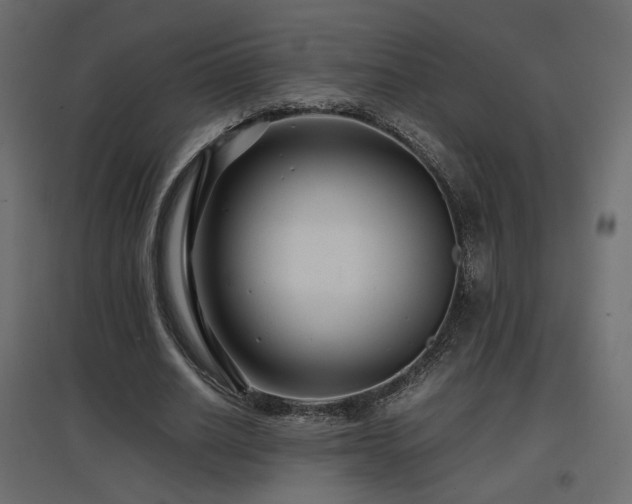 X0000097760630200803071255