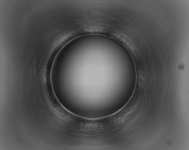 X0000097760631200803071255