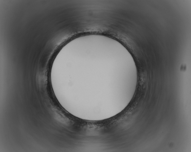 X0000097760632200803071255