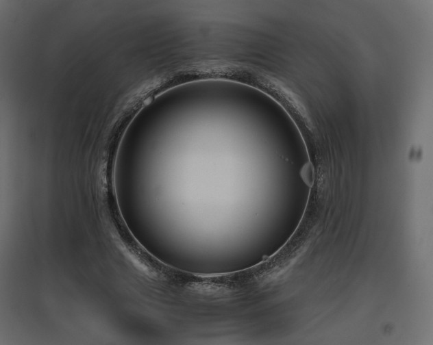 X0000097760633200803071255