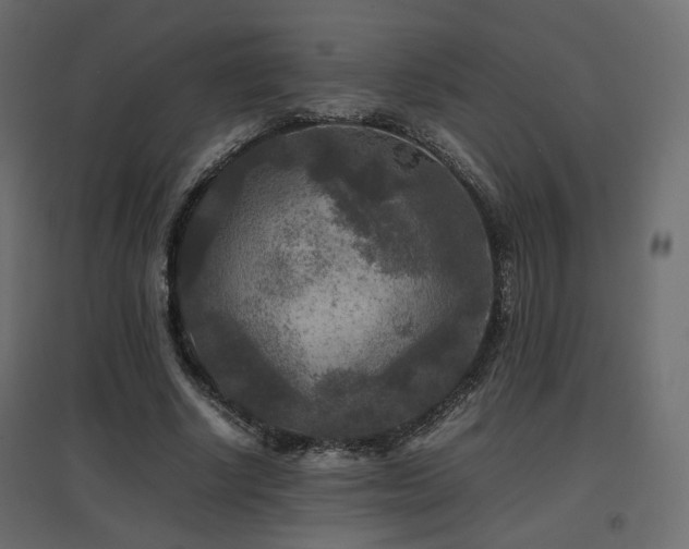 X0000097760634200803071255