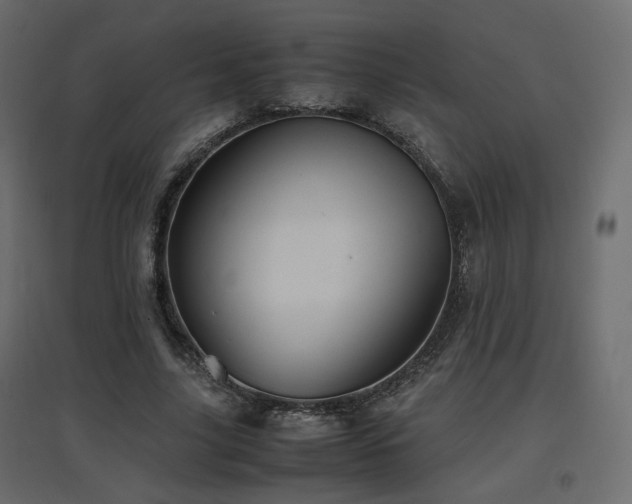 X0000097760635200803071255